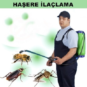 Kocaali Böcek İlaçlama